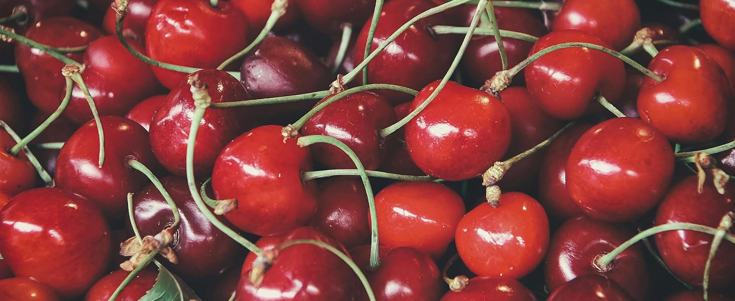 Tart Cherry Extract