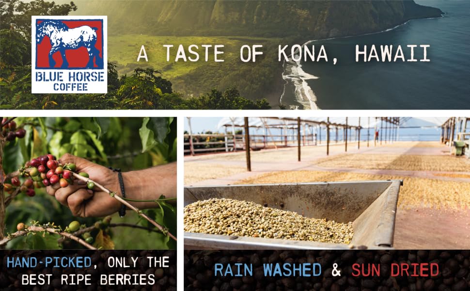 Blue Horse 100% Kona Coffee - shade grown and sun dried
