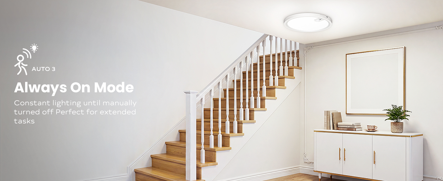 motion sensor ceiling light