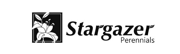 Stargazer Perennials Nursery