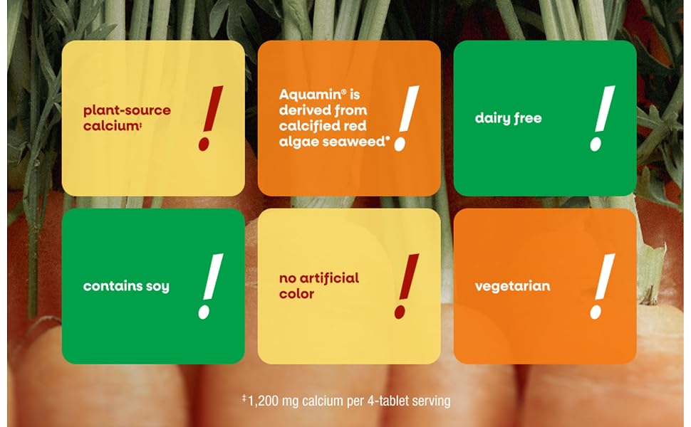 Orange, yellow, green text boxes on top of a carrot background