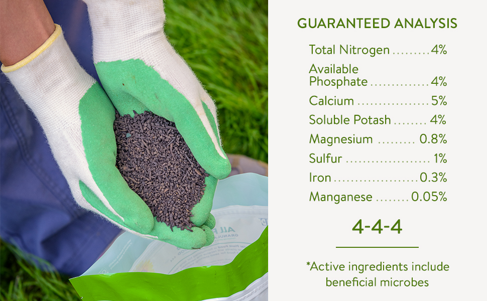 All Purpose Ingredients!