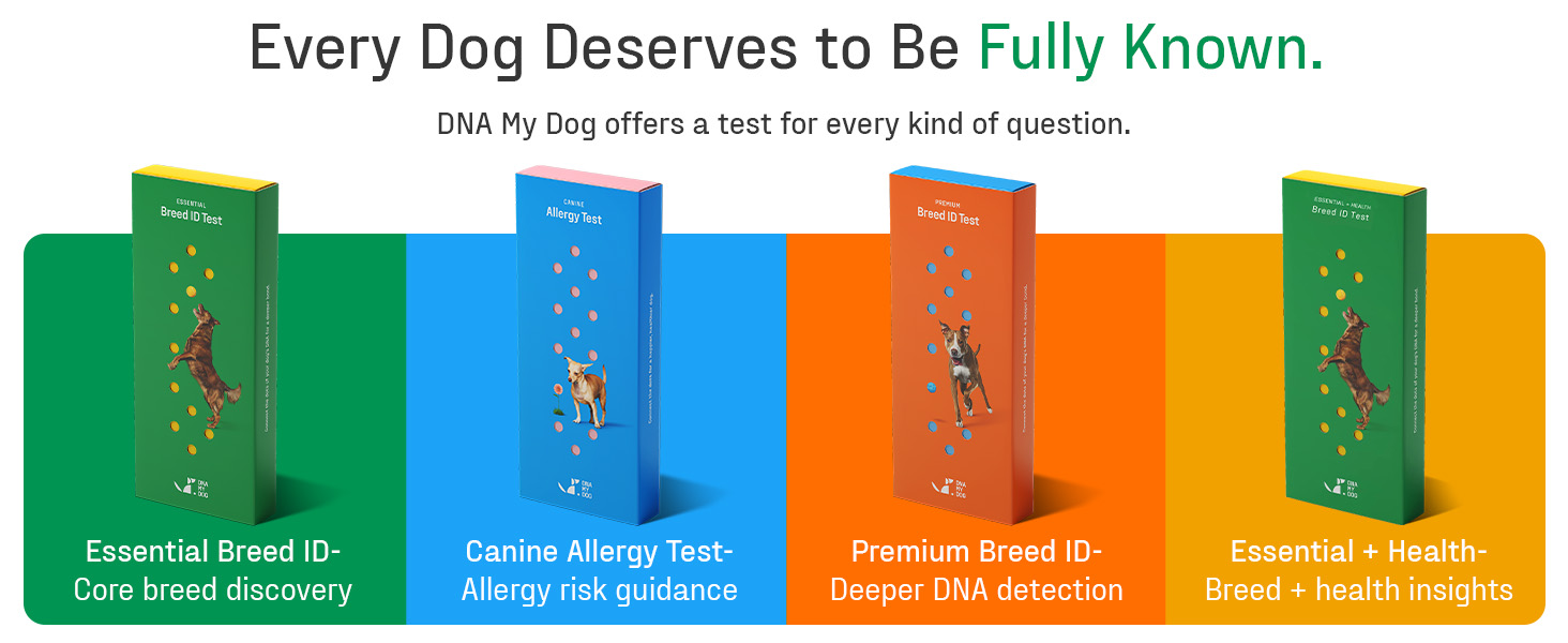 DNA My Dog product lineup showing four test kit options: