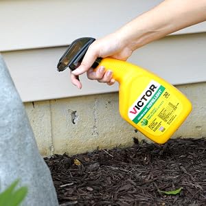 mouse repellent, rat repellent, repellent spray, spray repellent, repels mice, repels rats