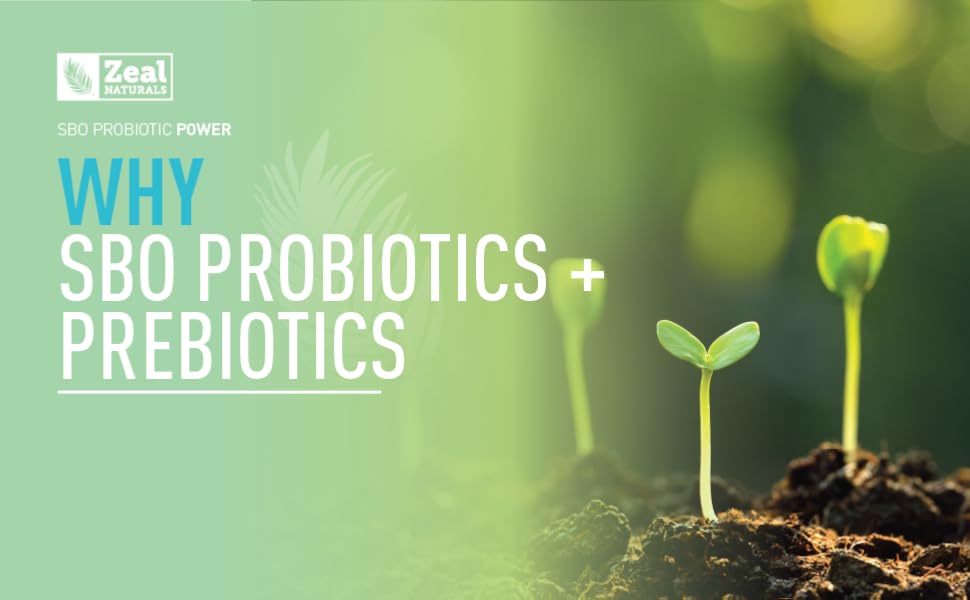 sbo soil based organism probiotics and prebiotics