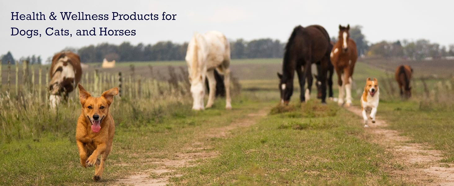 Health &amp; Wellness products for dogs, cats and horses