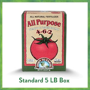 5 LB