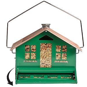squirrel resistant bird feeder, squirrel proof