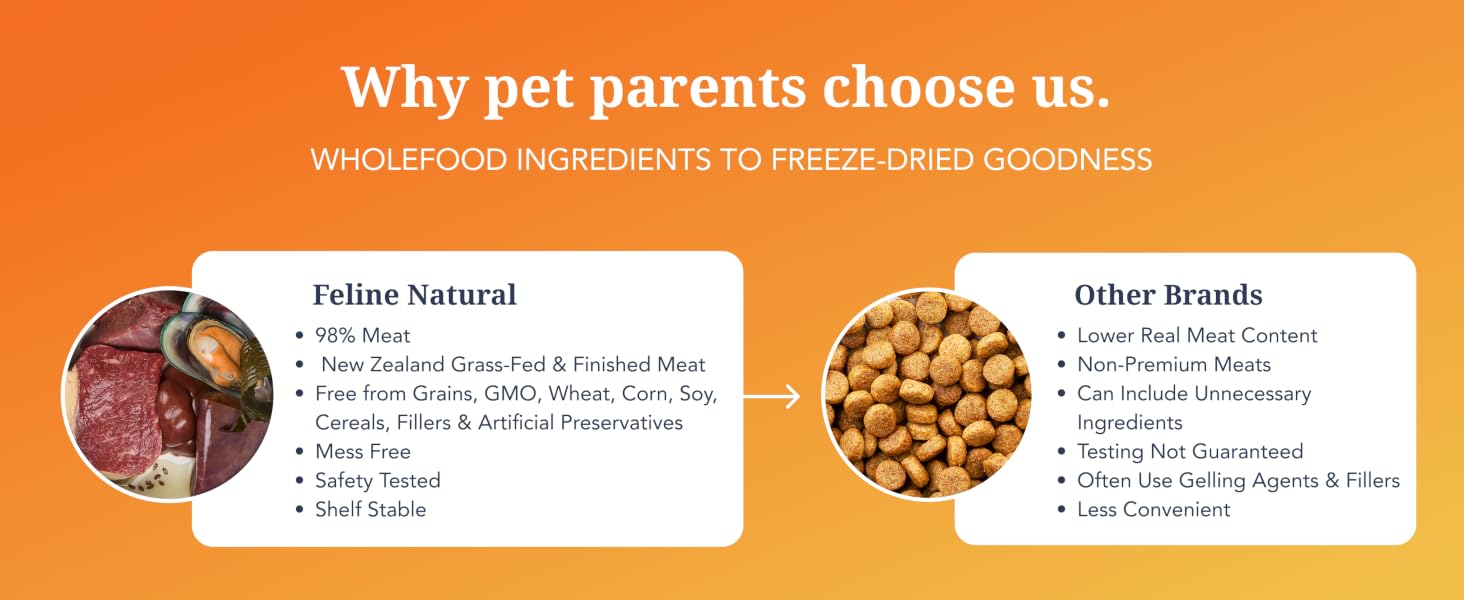 Feline Natural High Protein Dry Cat Food, Freeze-Dried, Beef