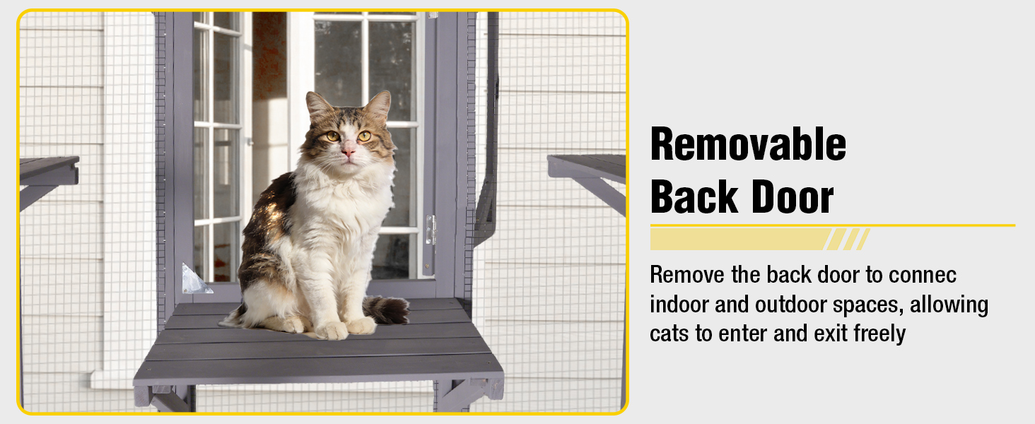 catio
