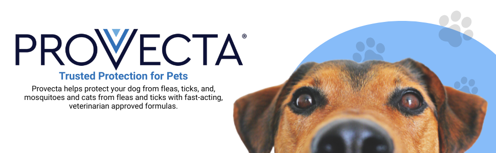 Provecta for Dogs