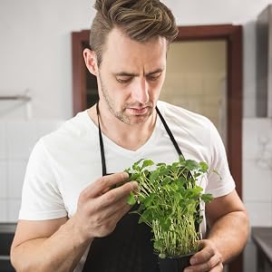 Spirulina benefits