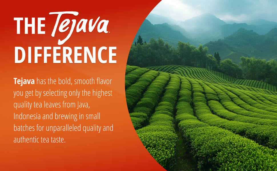 tejava story