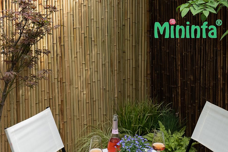 bamboo fence