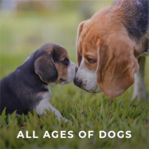 tricky trainers puppy adult senior dogs all ages cheddar chicken liver salmon fish healthy treats