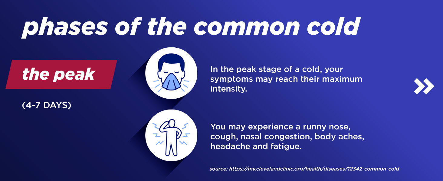 phases of a common cold