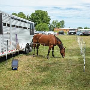 horse fence energizer