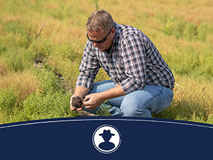 We work with a network of trusted farmers who supply our high-quality ingredients