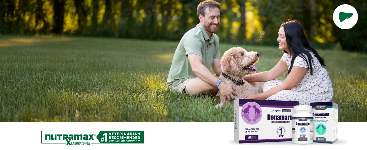 Joint Health Support for Dogs