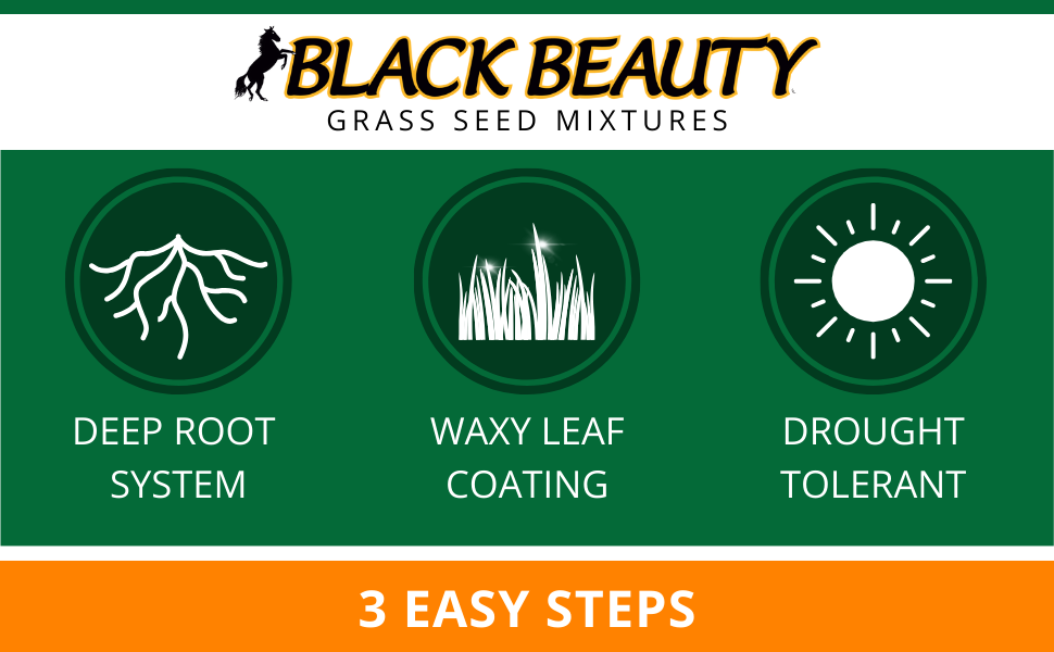 jonathan green black beauty fall magic grass seed lawn yard