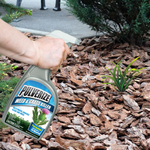 Pulverize Weed and Grass Killer in use
