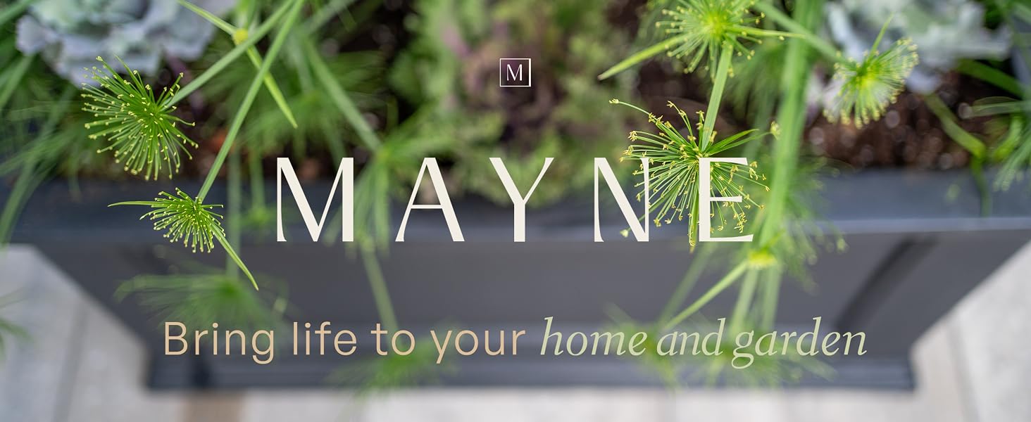 Intro Banner