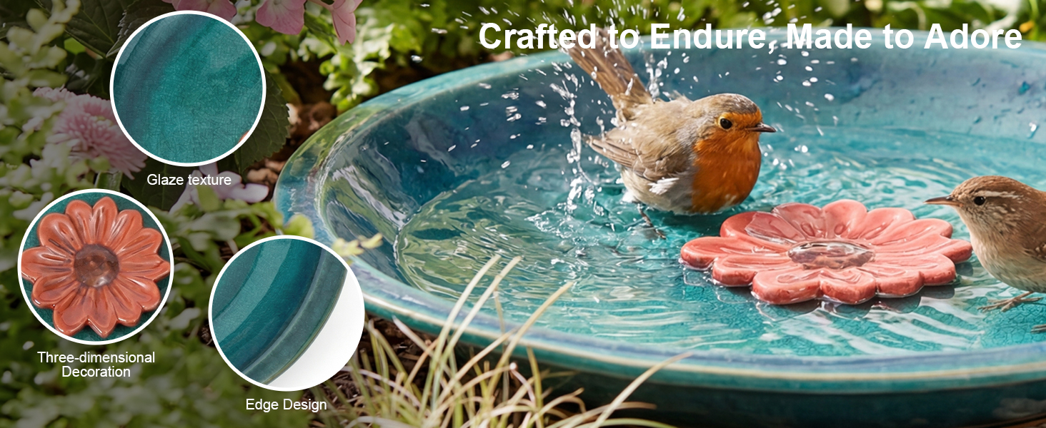 attractive bird bowl