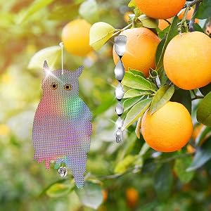 hang fake owl, woodpecker owls