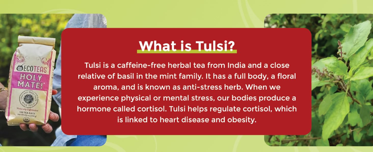 what is tulsi