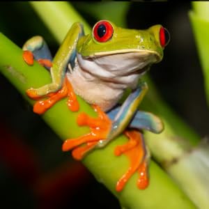 aplus content image