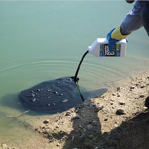 blue dye for pond