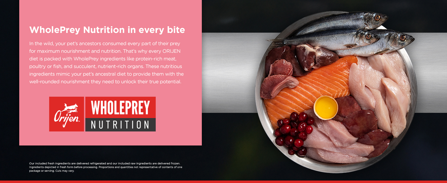 ORIJEN Small Breed Dog Food, Nature Nourishes