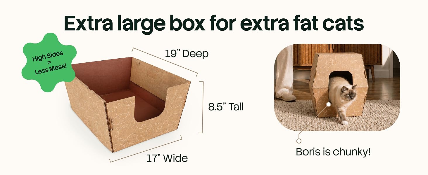 a disposable cat litter box showing the extra large dimensions of 19&amp;#34; x 17&amp;#34; x 8.5&amp;#34;