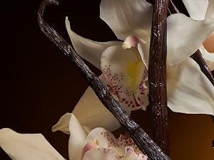 sweet vanilla scented perfume eau de parfum fragrance for women