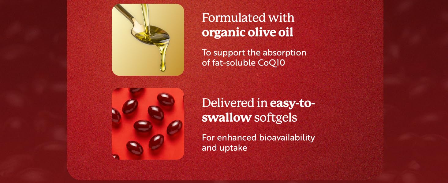 coq10 softgel organic olive oil small capsule premium ingredients easy to swallow bioavailable