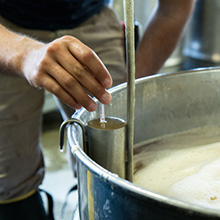 maple syrup process
