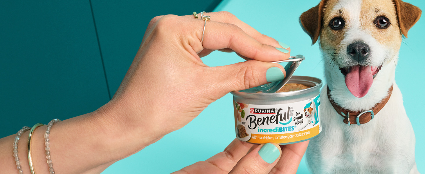 Purina incrediBites: Wet Dog Food being opened in front of small breed dog