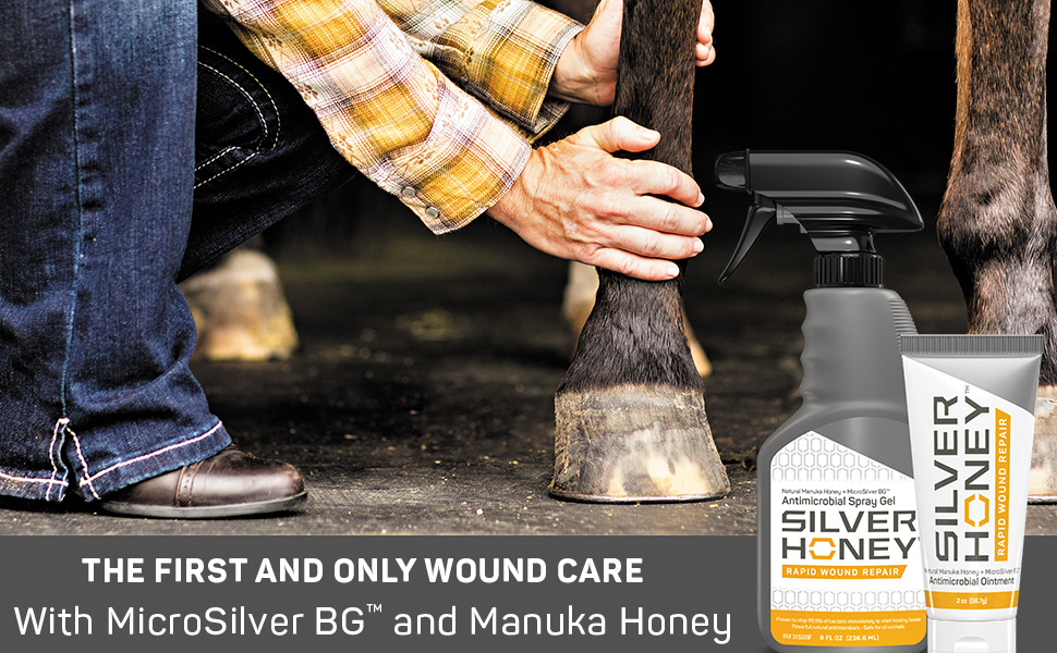SIlver Honey