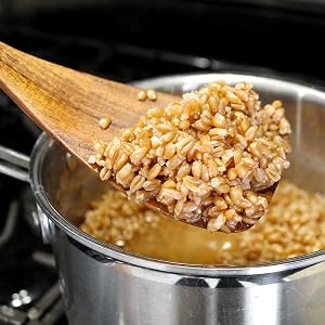 Spelt Wheat Berries