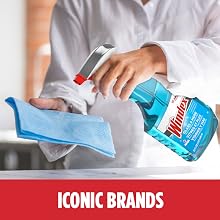 SC Johnson Professional Iconic Brands_Windex