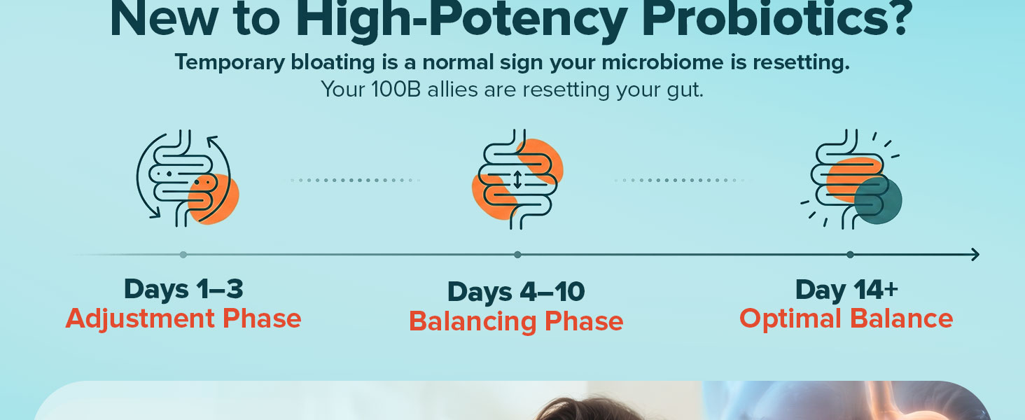 High-potency multi-strain probiotic supplement for daily gut wellness support, adult formula
