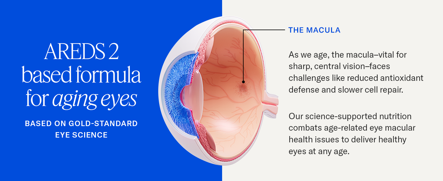 Diagram of the macula, vital for central vision, showing aging effects and AREDS 2 based support.