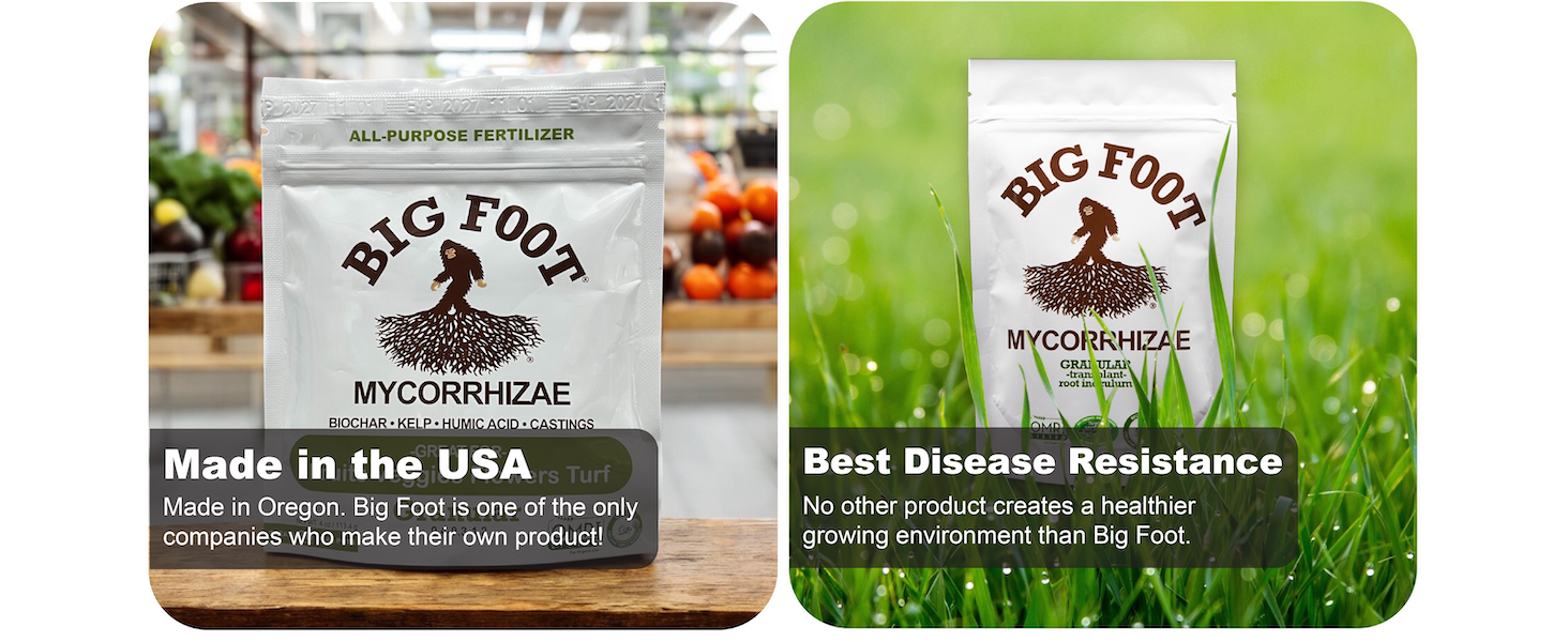 Mycorrhizal fungi promote healthy plant growth and stress tolerance.