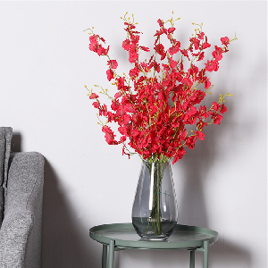 red orchid
