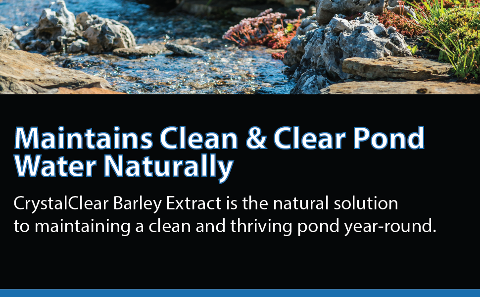 Clean Clear Water Barley Natural Extract Solution Maintain Thrive