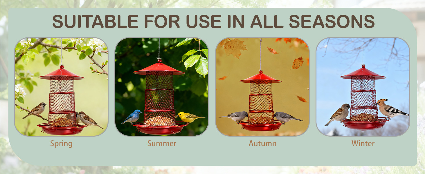Metal Bird Feeder