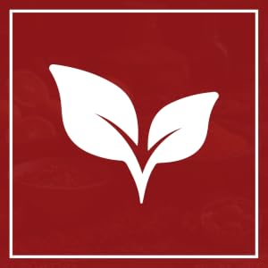 plant leaves icon