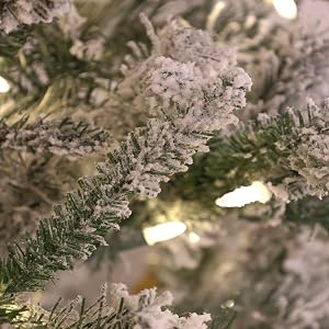 Mountain Pine Christmas Tree Collection