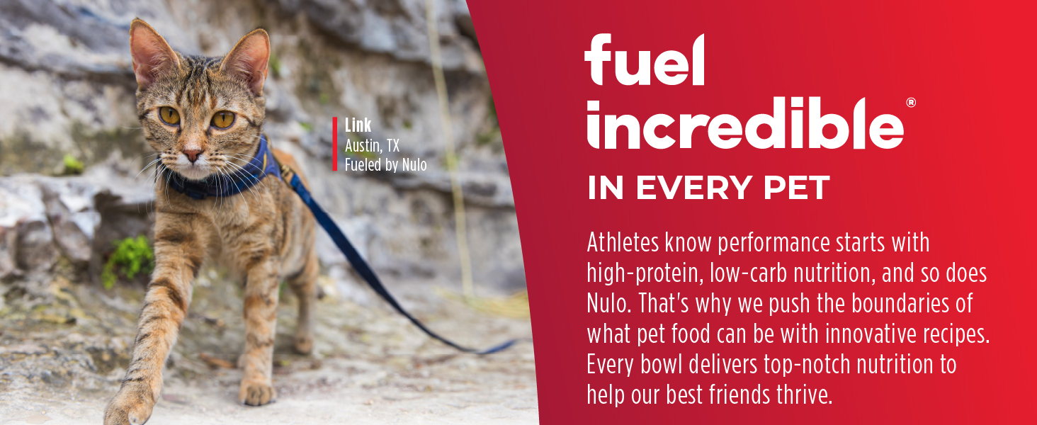 Image of cat on leash with text reading fuel incredible in every pet.