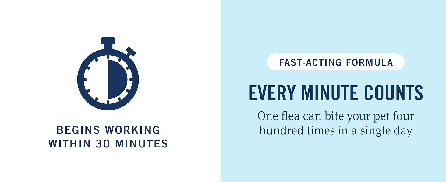 fast acting formula fleas